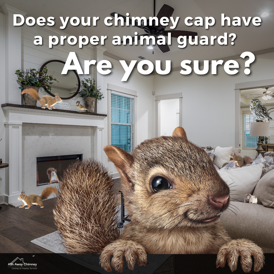 Animals entering chimney without proper cap guard